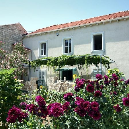 Guest House Katica Zaton (Dubrovnik-Neretva) Exterior foto