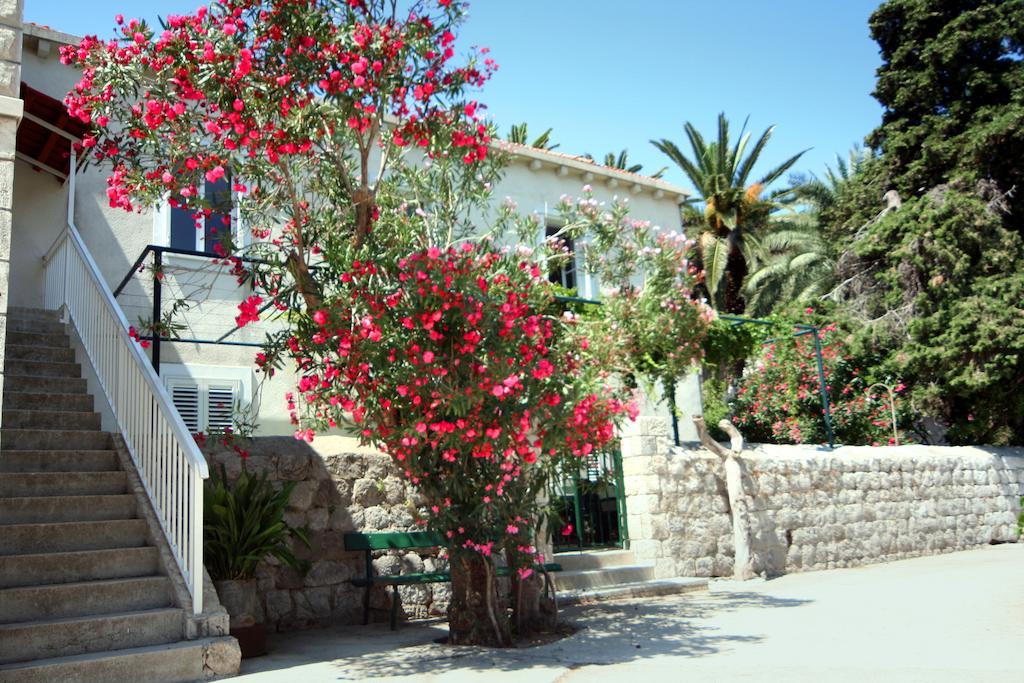 Guest House Katica Zaton (Dubrovnik-Neretva) Exterior foto